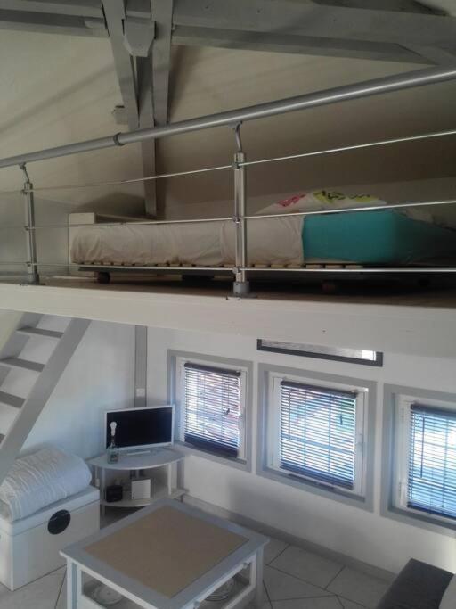 Appartement Location St Jean De Luz Saint-Jean-de-Luz