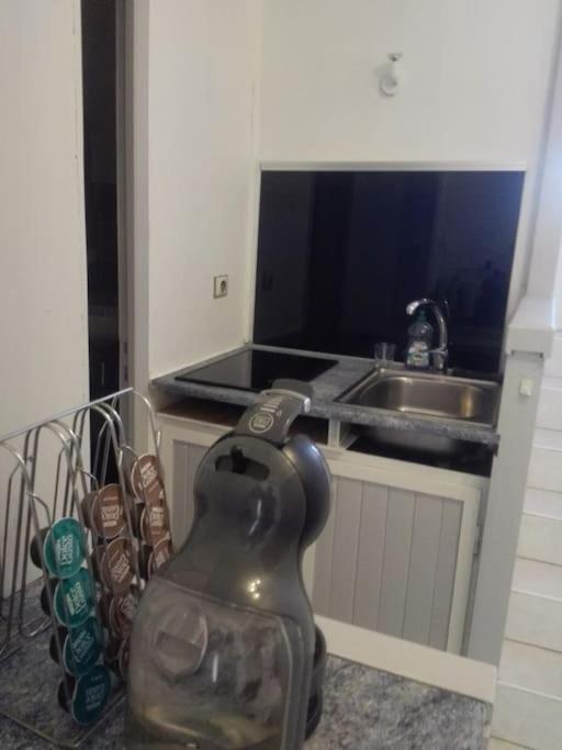 Location St Jean De Luz Appartement
